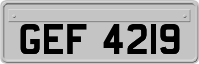 GEF4219