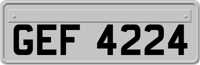 GEF4224