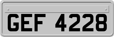GEF4228