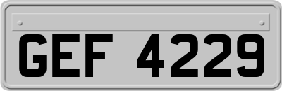 GEF4229