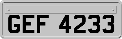 GEF4233
