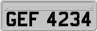 GEF4234