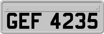 GEF4235