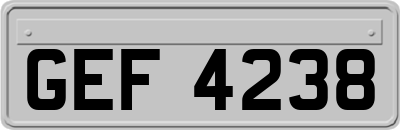 GEF4238
