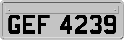 GEF4239