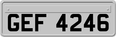 GEF4246