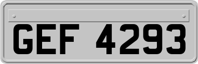 GEF4293