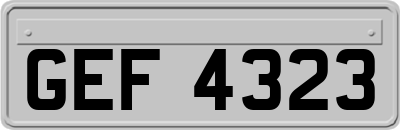 GEF4323