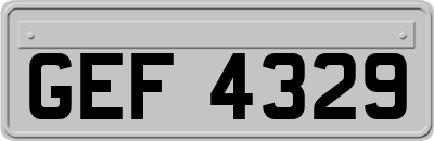 GEF4329