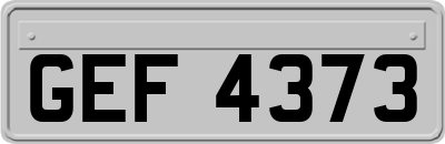 GEF4373