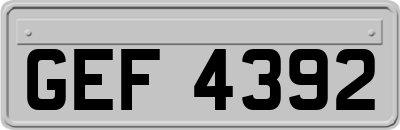 GEF4392