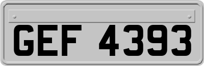 GEF4393