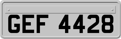 GEF4428
