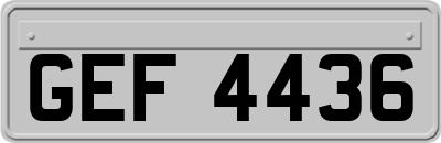 GEF4436