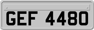 GEF4480