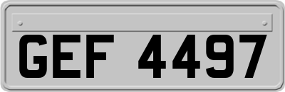 GEF4497
