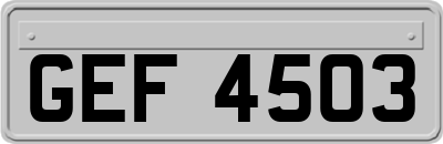 GEF4503