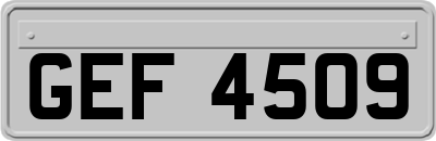 GEF4509