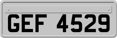 GEF4529