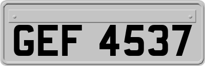 GEF4537