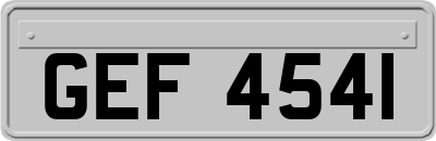 GEF4541