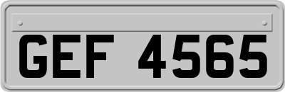 GEF4565