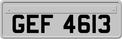 GEF4613