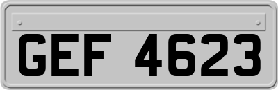 GEF4623