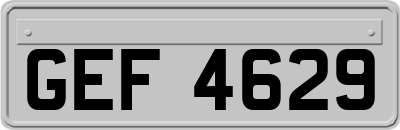 GEF4629