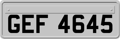 GEF4645