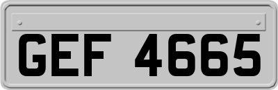 GEF4665