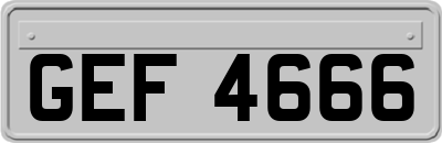 GEF4666