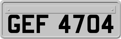 GEF4704
