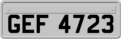 GEF4723