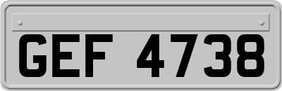 GEF4738