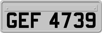 GEF4739