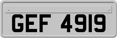 GEF4919