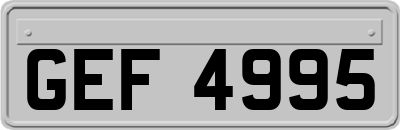 GEF4995