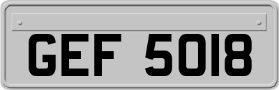 GEF5018