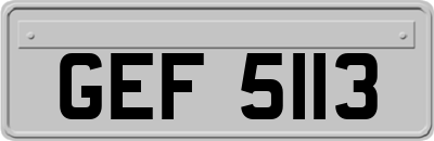 GEF5113