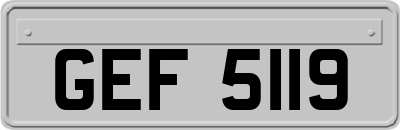 GEF5119