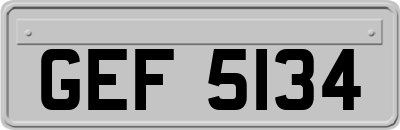 GEF5134