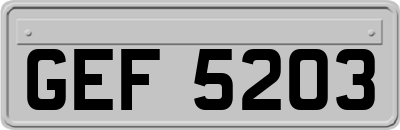 GEF5203