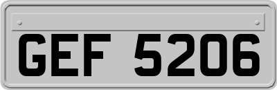 GEF5206