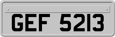 GEF5213