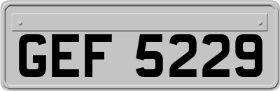GEF5229