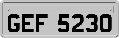 GEF5230