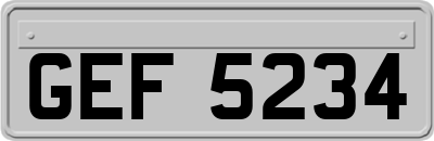 GEF5234