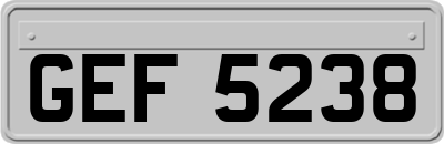 GEF5238