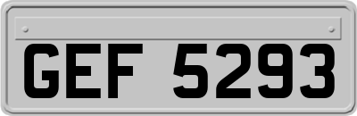 GEF5293